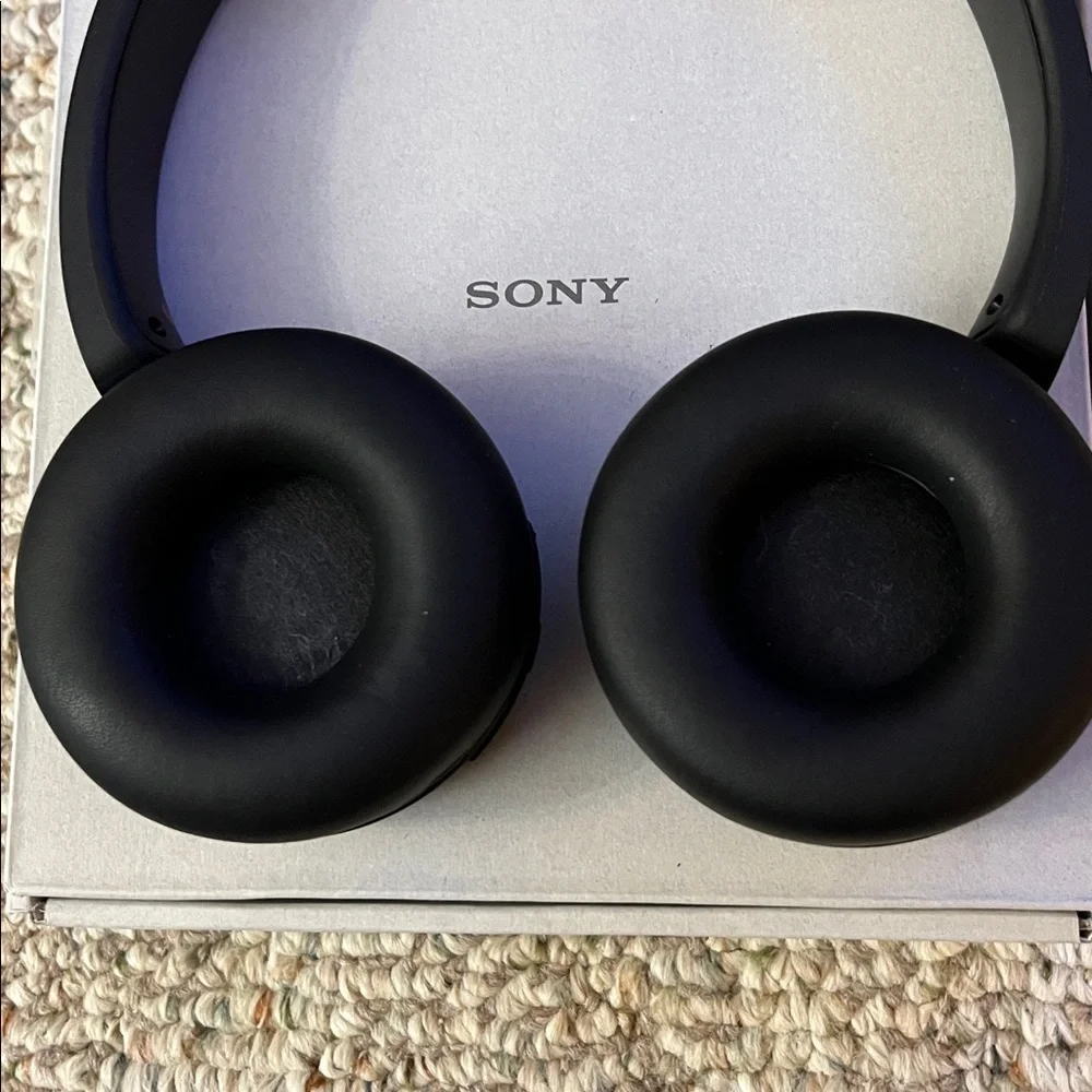 Sony WH-CH520 Over-Ear Black Headphones